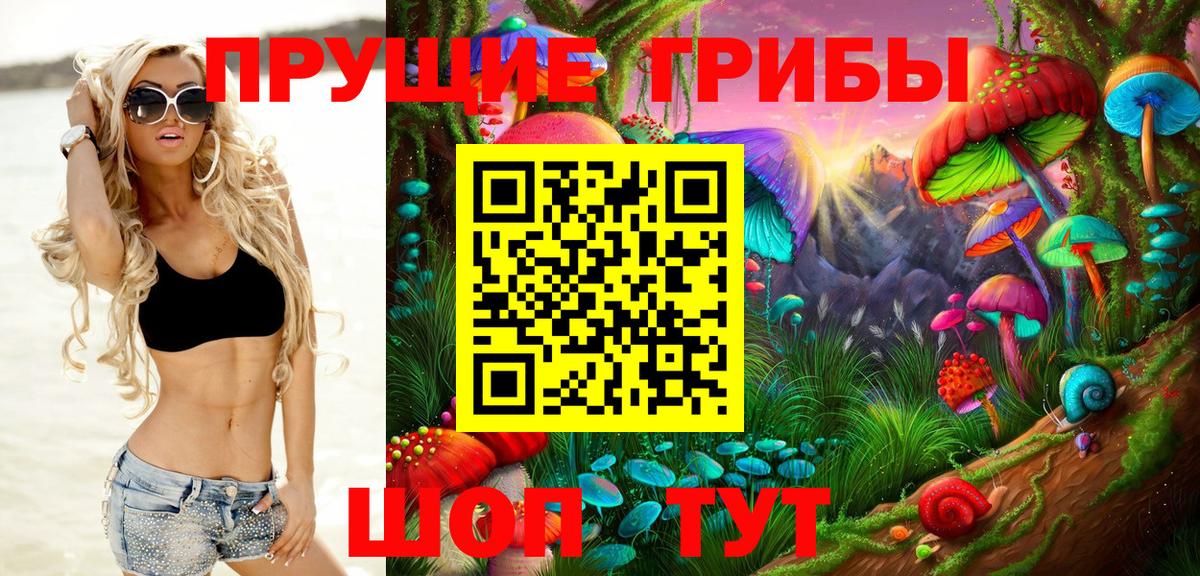 Псилоцибиновые грибы MAGIC MUSHROOMS Богданович